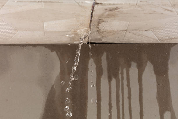 Professional Sewage Cleanup technician working in Freeport, MN